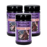 3 x Shilajit Mumijo von Robert Franz 120 Kapseln