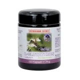 L-Glutathion (reduziert) von Robert Franz 120 vegane Kapseln