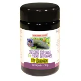 NADH und CoEnzym Q10 Kombination von Robert Franz 60 vegetarische Kapseln