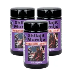 3 x Shilajit Mumijo von Robert Franz 120 Kapseln
