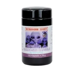 Carnosin Kapseln von Robert Franz