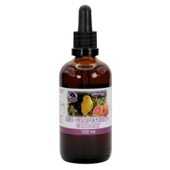 Grapefruchtkern-Extrakt BIO 100ml von Robert Franz