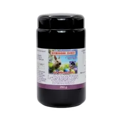 L-Carnitin (Lonza) von Robert Franz Pulver 250g