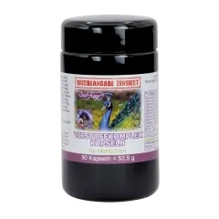 Vitstoff-Komplex 90 Kapseln von Robert Franz